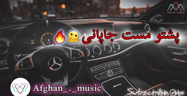 عکس سگ های سرابی اصیل
