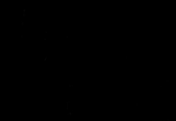 عکس پس زمینه گوشی نام خدا