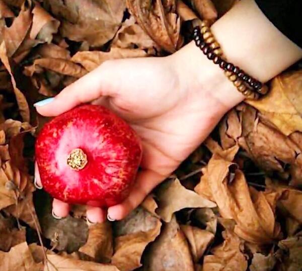 ژست عکس شب یلدا پسرانه