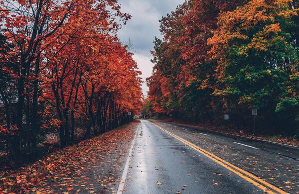 عکس پس زمینه شیک و خاص برای لپ تاپ