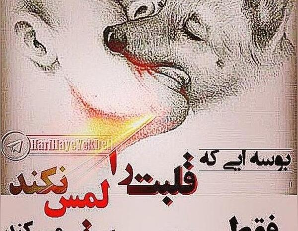 عکس پروفایل عقاب لاتی