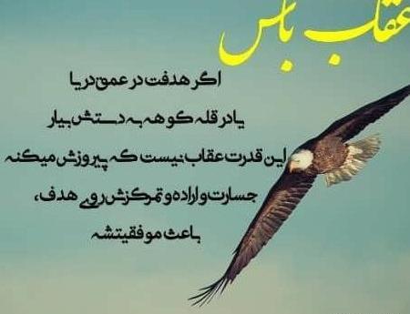 عکس پروفایل عقاب لاتی