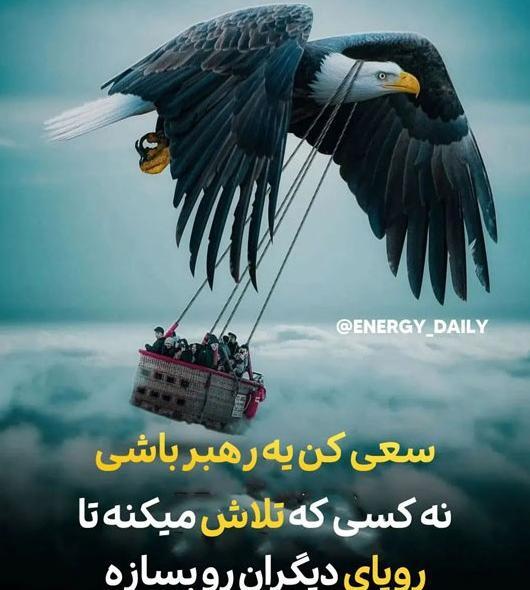 عکس پروفایل عقاب لاتی