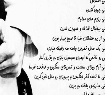 ژست عکس رزمی