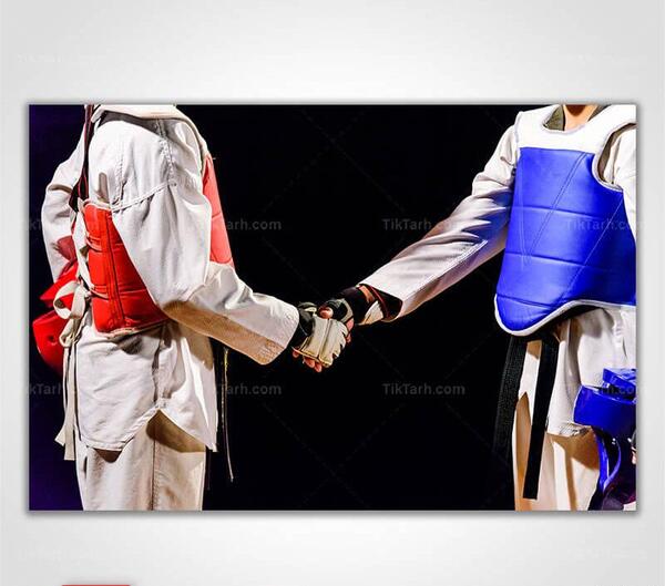 ژست عکس رزمی