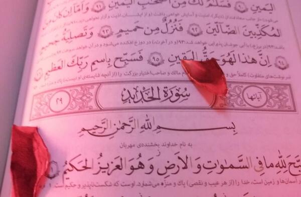 عکس عذاب جهنم