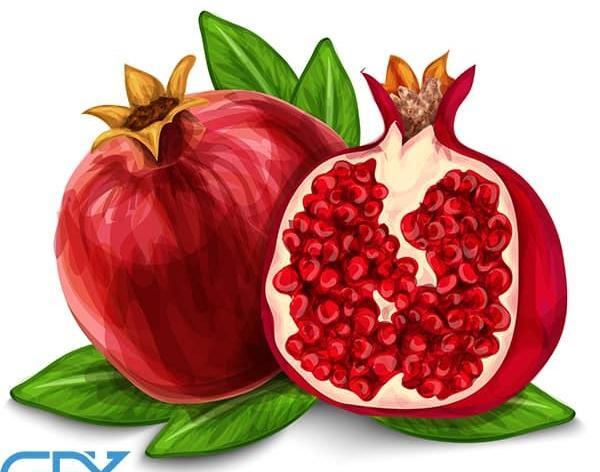 عکس انار کارتونی