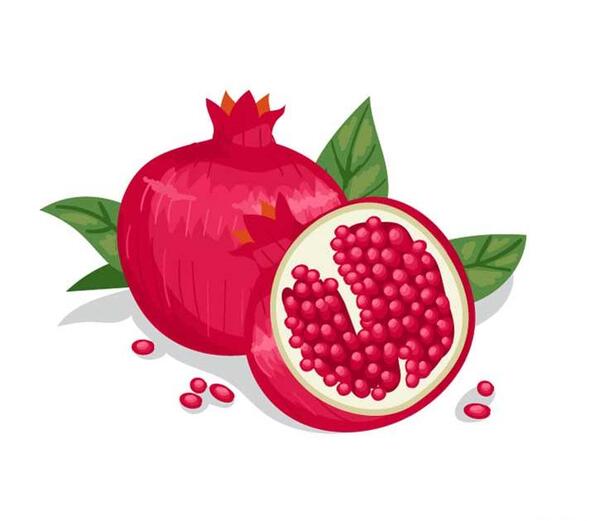عکس انار کارتونی