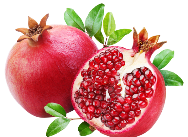 عکس انار png