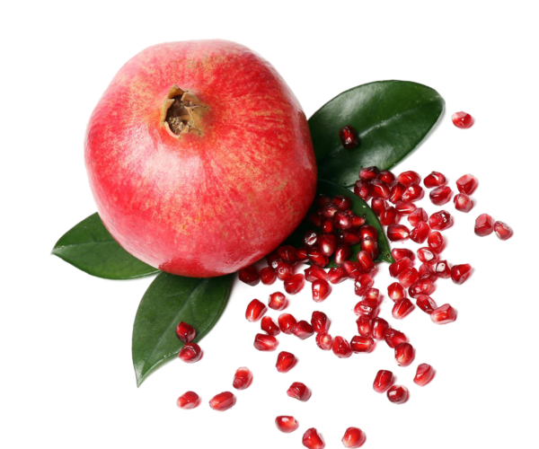 عکس انار png