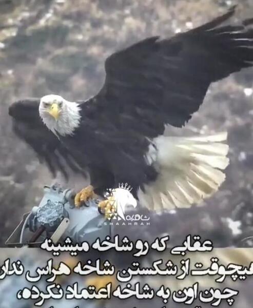 عکس لیونل مسی با ریش