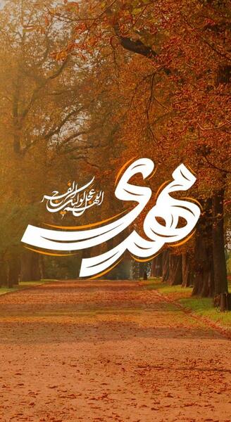 عکس پس زمینه گوشی امام زمان