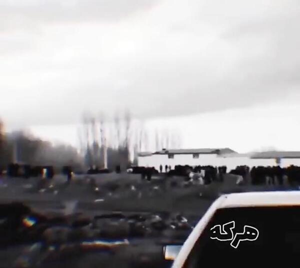 عکس سگ سرابی با اهنگ