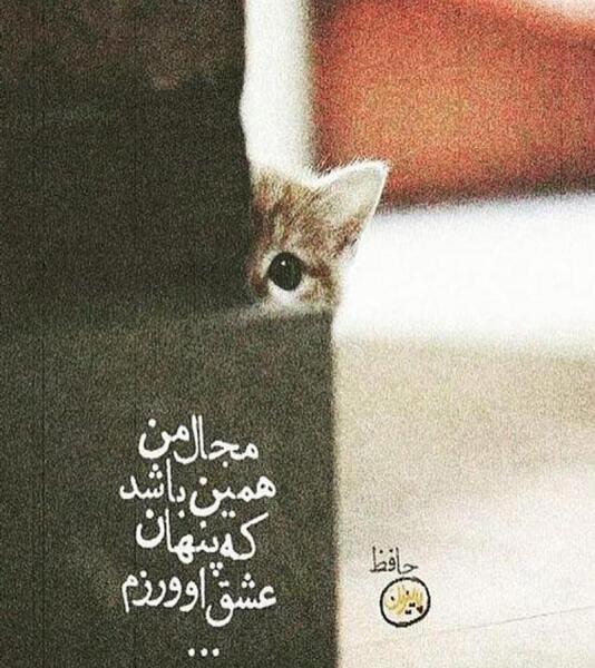 عکس نوشته زیبا استوری اینستا