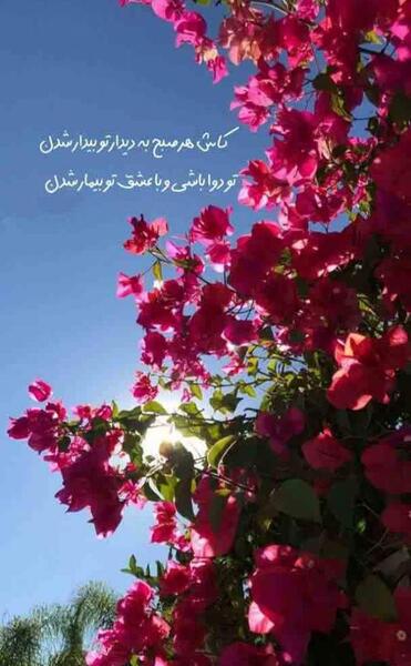 عکس نوشته زیبا استوری اینستا