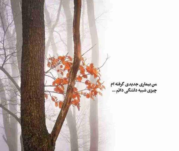 عکس نوشته زیبا استوری اینستا