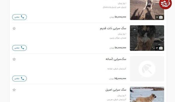 عکس فروش سگ سرابی