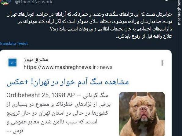 عکس فروش سگ سرابی