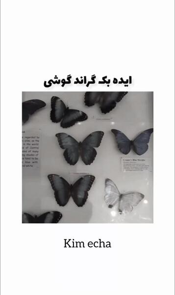 عکس پس زمینه گوشی ویسگون