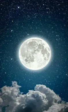 عکس پس زمینه گوشی ویسگون
