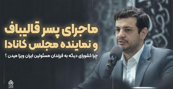 عکس سگ سرابی خیلی وحشی