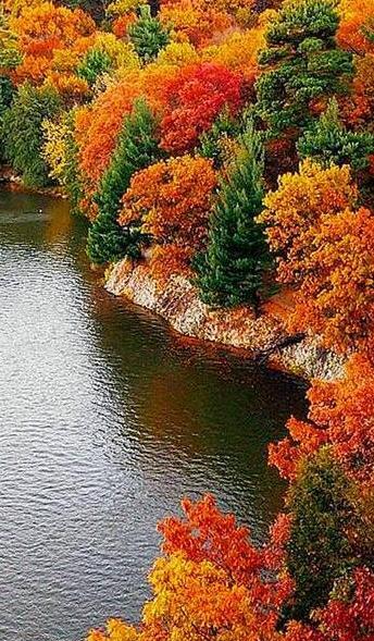 عکس پس زمینه گوشی از طبیعت