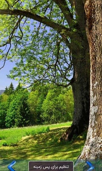 عکس پس زمینه گوشی از طبیعت