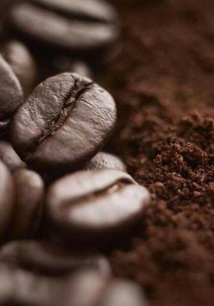 عکس پس زمینه گوشی قهوه ای