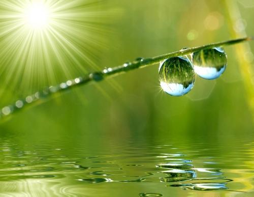 زیباترین عکس لیونل مسی