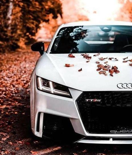 عکس های زیبا از ماشین لامبورگینی