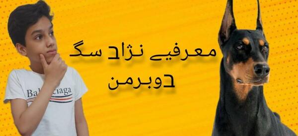 عکس سگ سرابی و قدرجونی