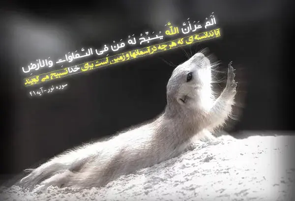 عکس نوشته آیات زیبا