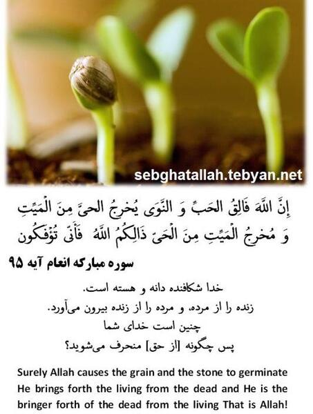 عکس نوشته آیات زیبا