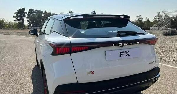 عکس انواع فونیکس