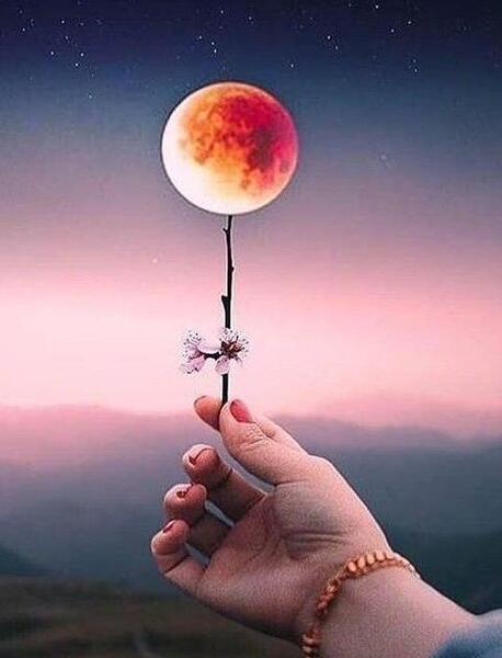 عکس پروفایل شیک و باکلاس زنانه