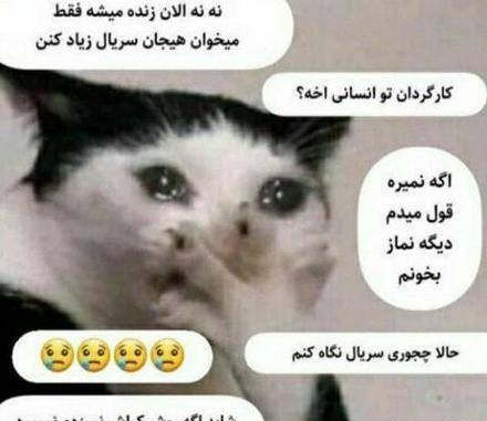 عکس های خنده دار با حیوانات