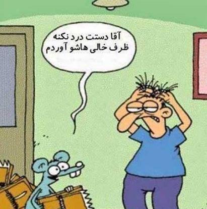 عکس های خنده دار و جالب طنز