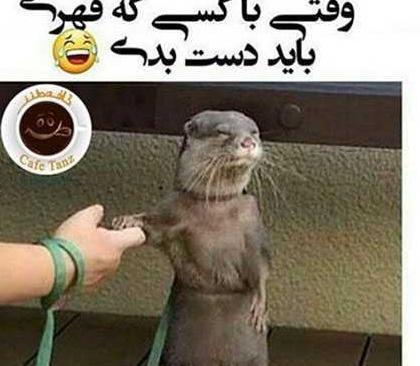عکس های جالب و خنده دار وطنی