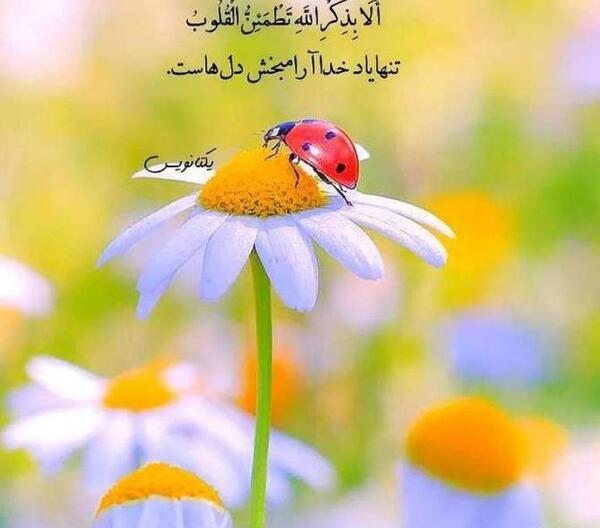 عکس های زیبای دخترانه برای پروفایل واتساپ