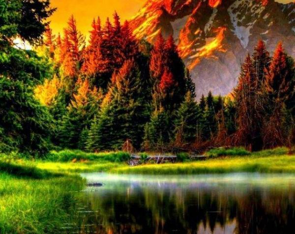 عکس های زیبا برای تصویر زمینه کامپیوتر