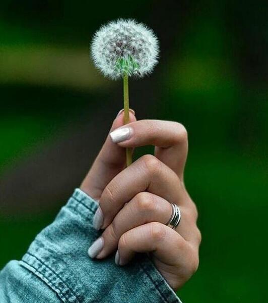 عکس پروفایل دخترانه شیک و ساده