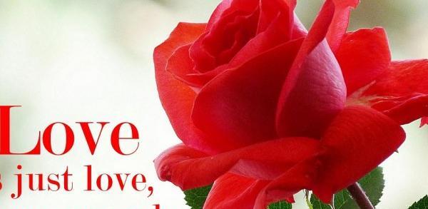 عکس های عاشقانه برای پروفایل روبیکا