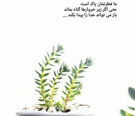عکس پروفایل شیک برای واتساپ خدا