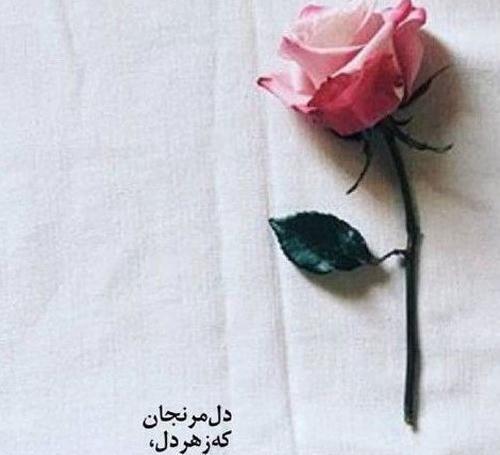 عکس پروفایل شیک برای واتساپ خدا