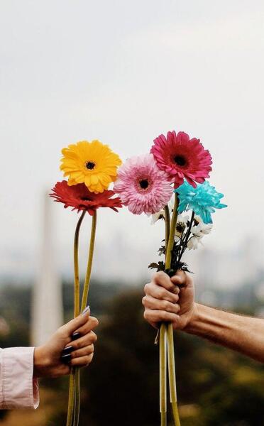 عکس گل های زیبا برای صفحه گوشی