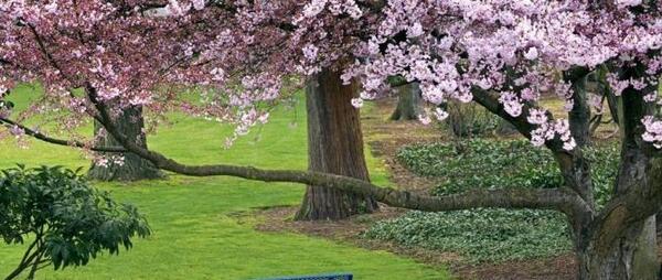 عکس های زیبا از طبیعت بهار