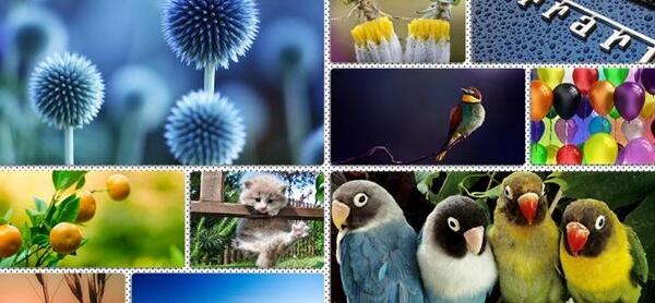 عکس های زیبا برای تصویر زمینه لپ تاپ