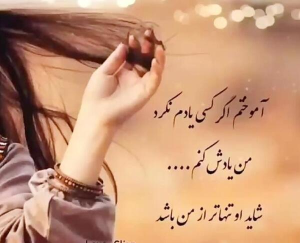 عکس های زیبای افغان