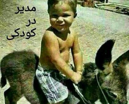 عکس های خنده دار برای مدیر گروه