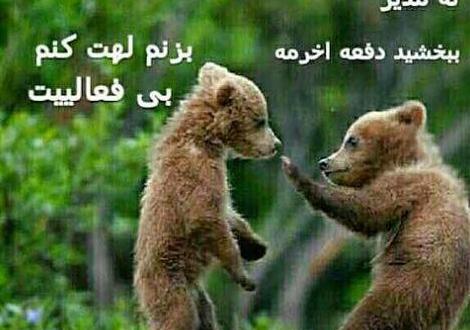 عکس های خنده دار برای مدیر گروه